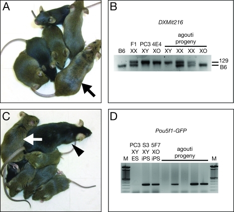 FIG. 3.