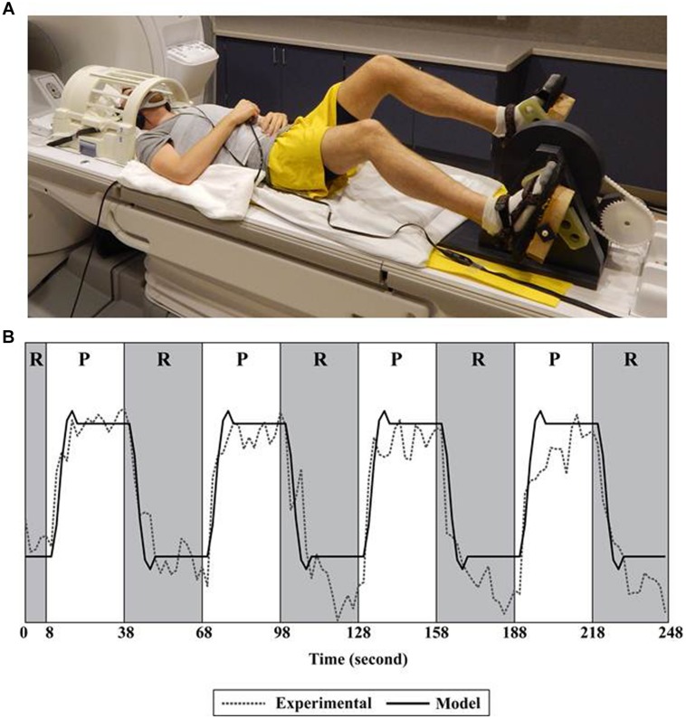 FIGURE 1