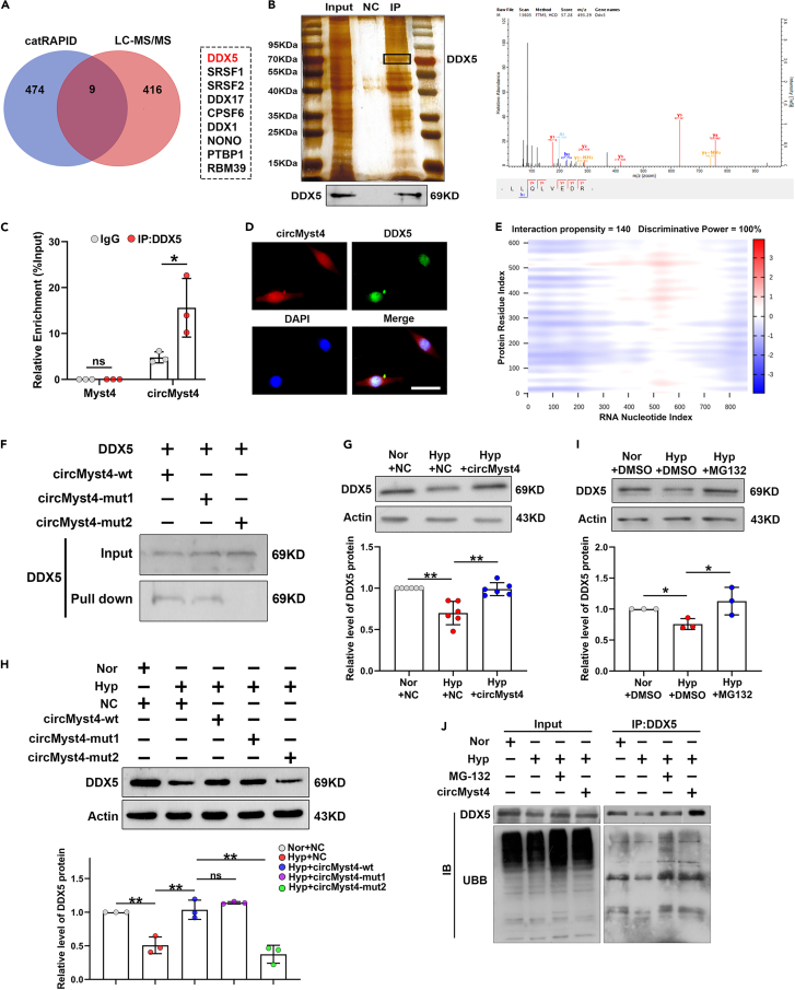 Figure 4