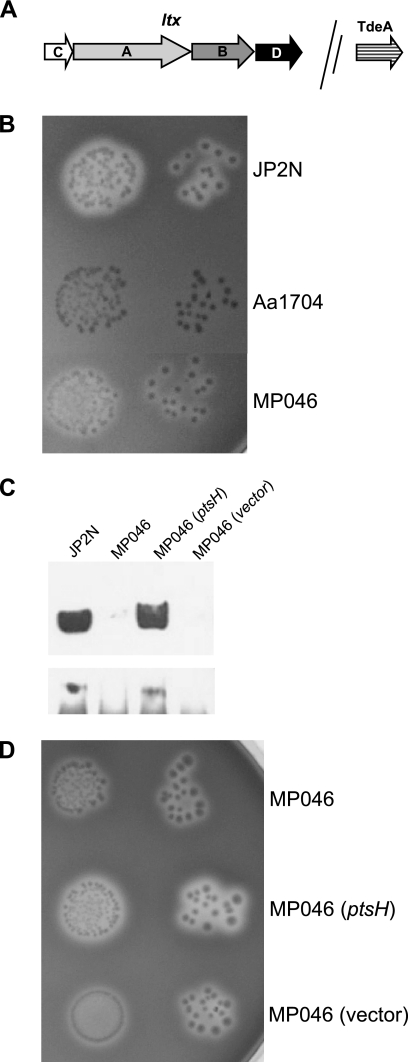 FIG. 3.