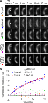 FIG 2