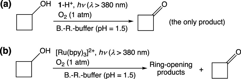 Scheme 3