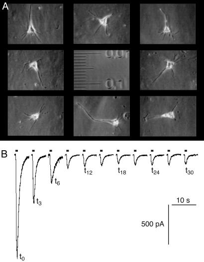 Fig. 3.