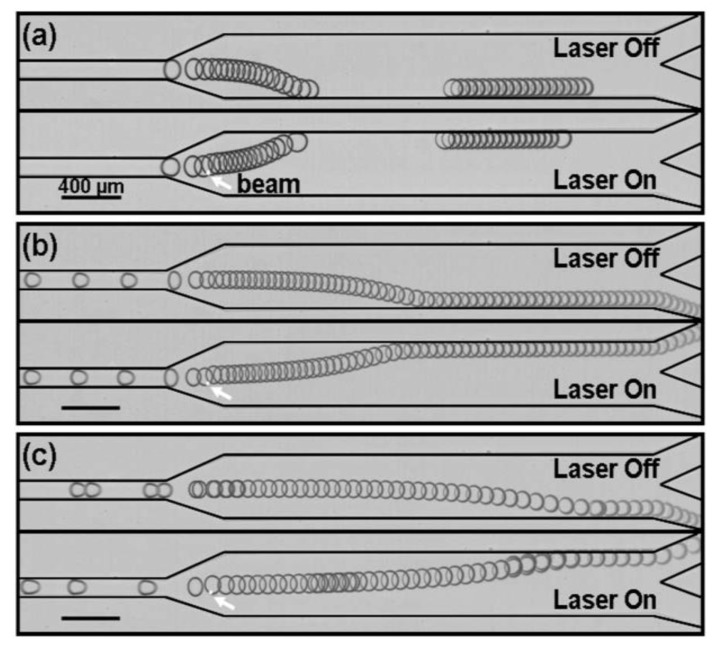 Figure 30