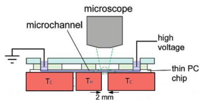 Figure 22