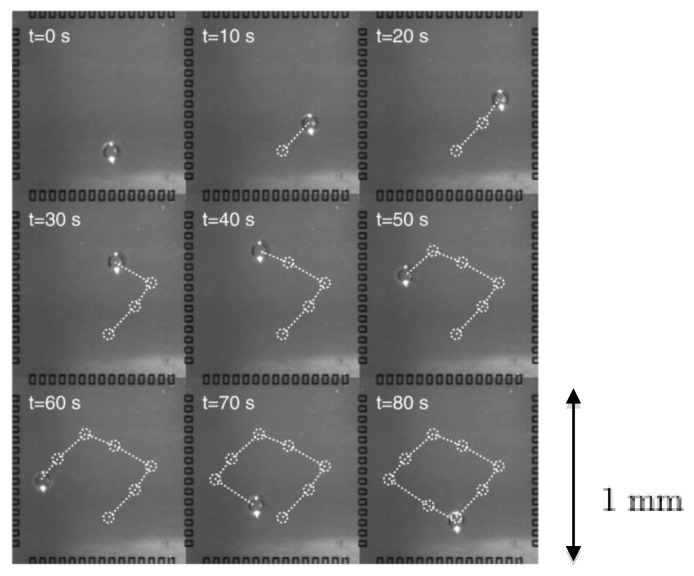 Figure 18