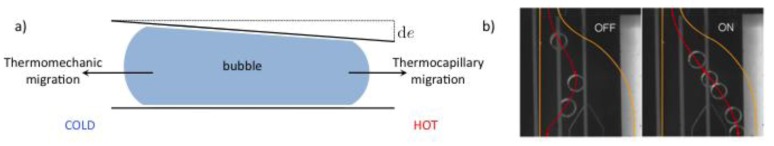 Figure 21