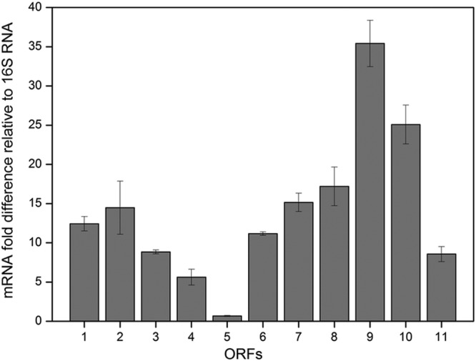 Fig 2