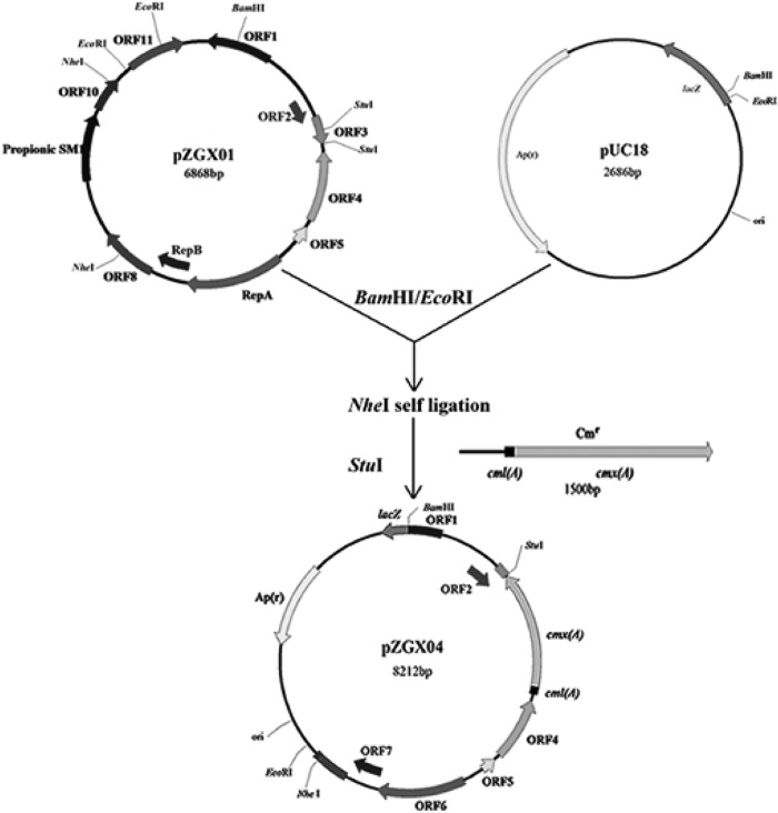 Fig 3