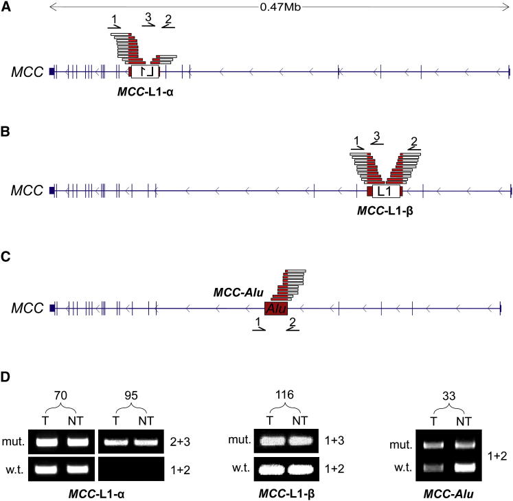 Figure 3