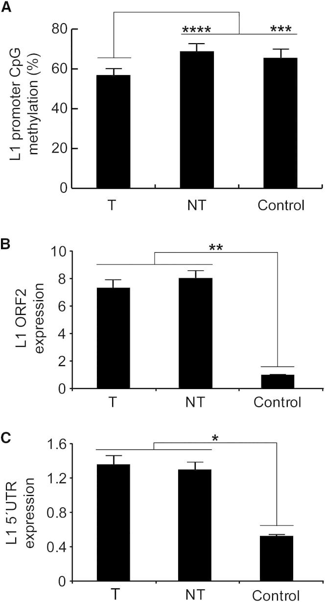 Figure 5