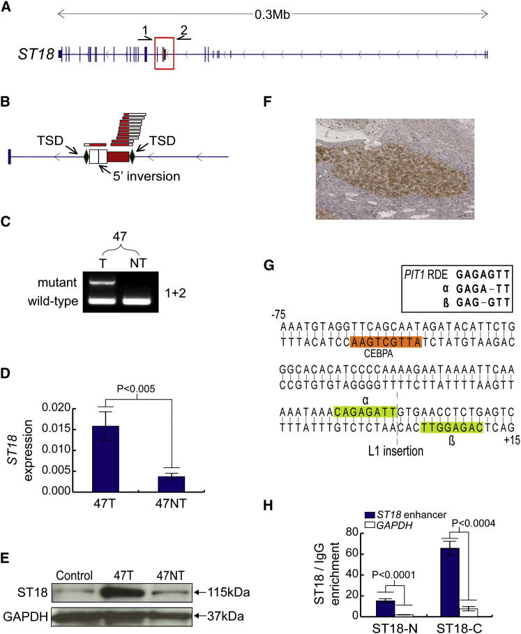 Figure 6