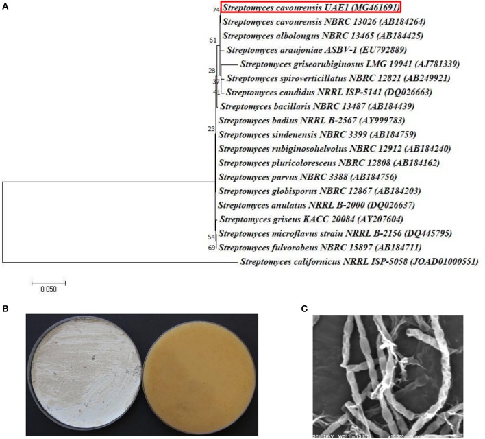 Figure 6