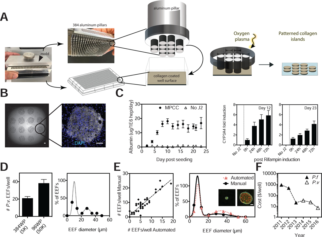 Figure 5: