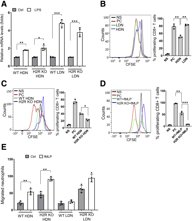 Figure 10