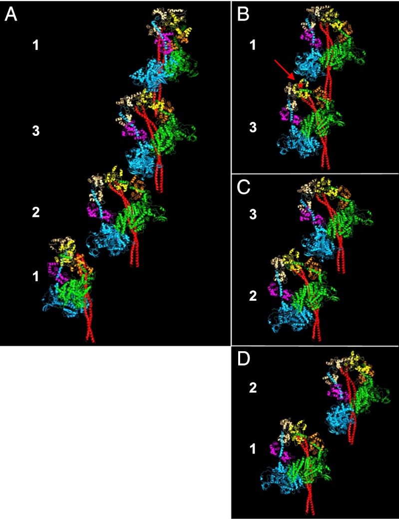 Fig. 3.