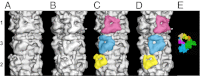 Fig. 1.