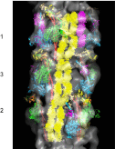 Fig. 4.
