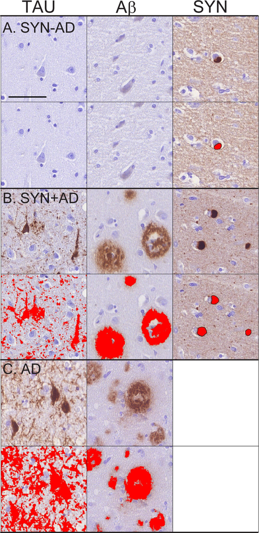 Figure 1: