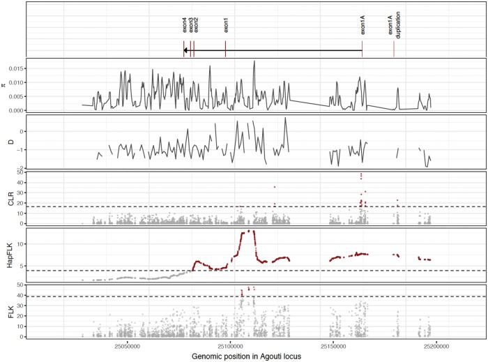 Fig. 6.