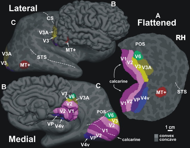 Figure 10.