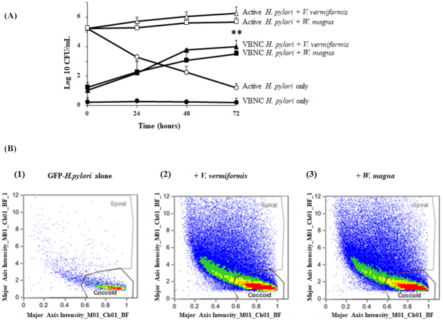 Figure 7.