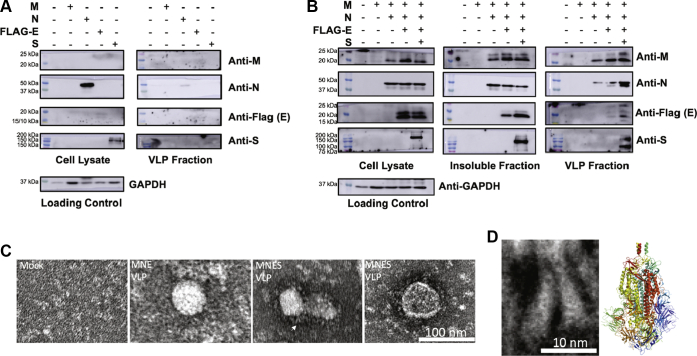 Figure 1