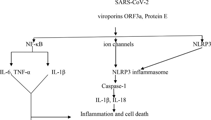 Fig 2