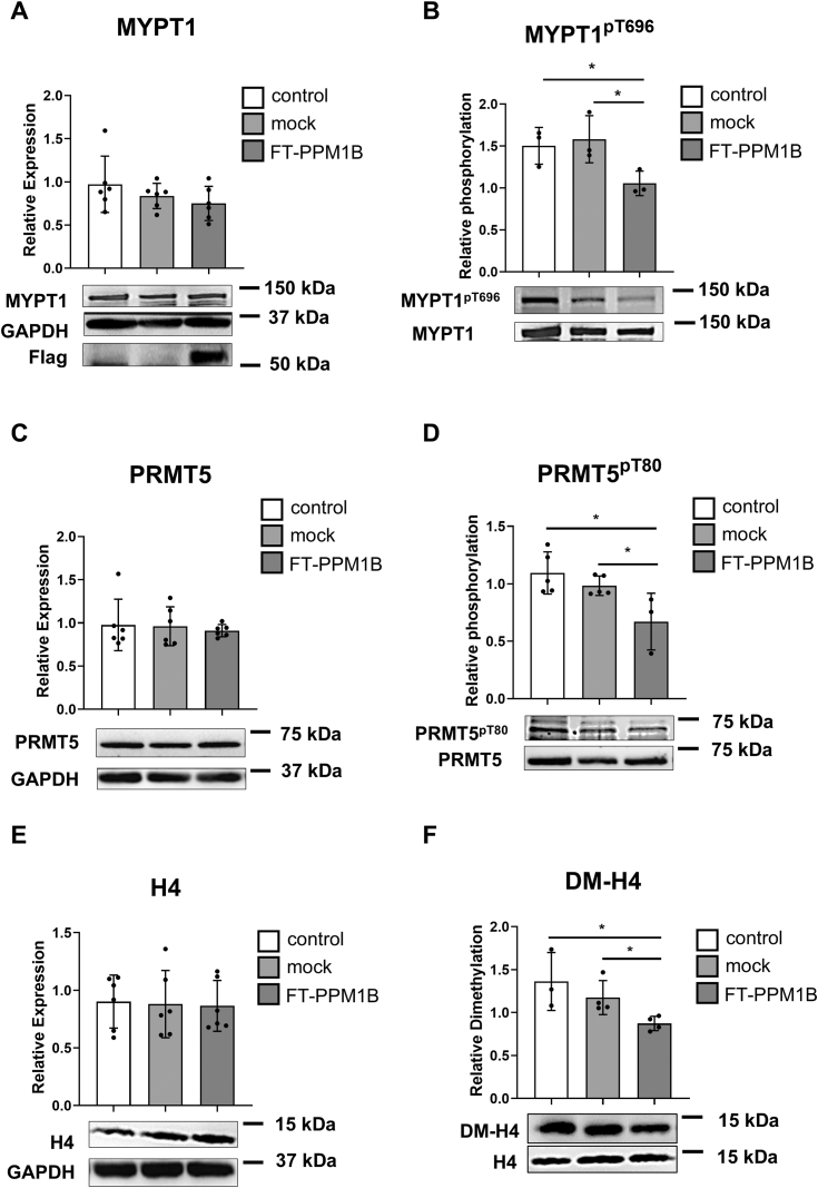 Figure 5