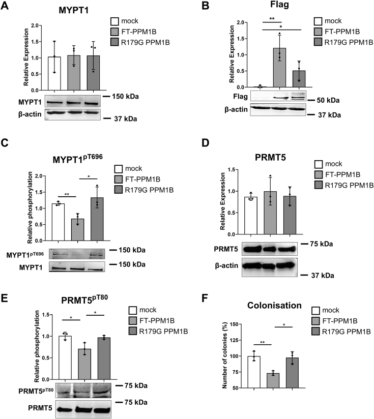 Figure 6