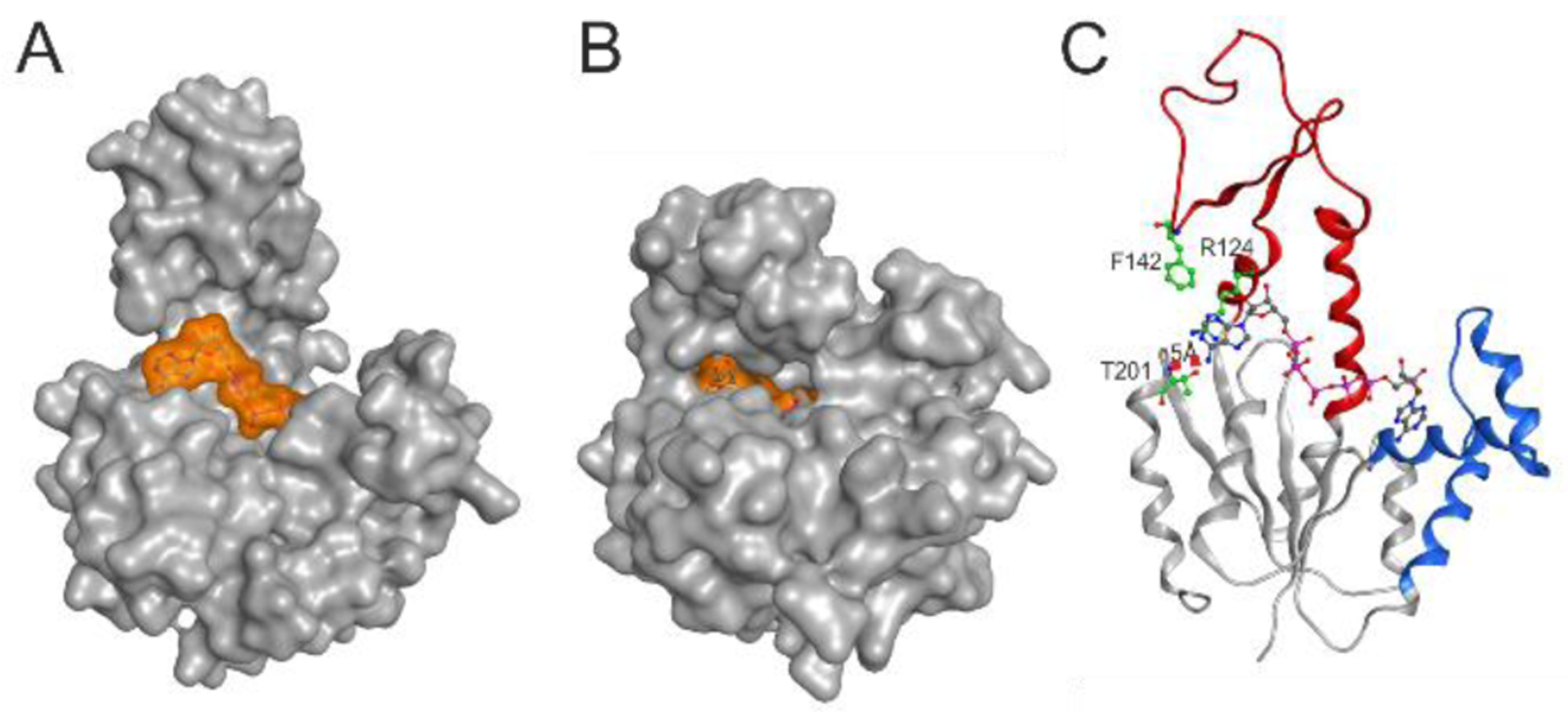 Figure 4.