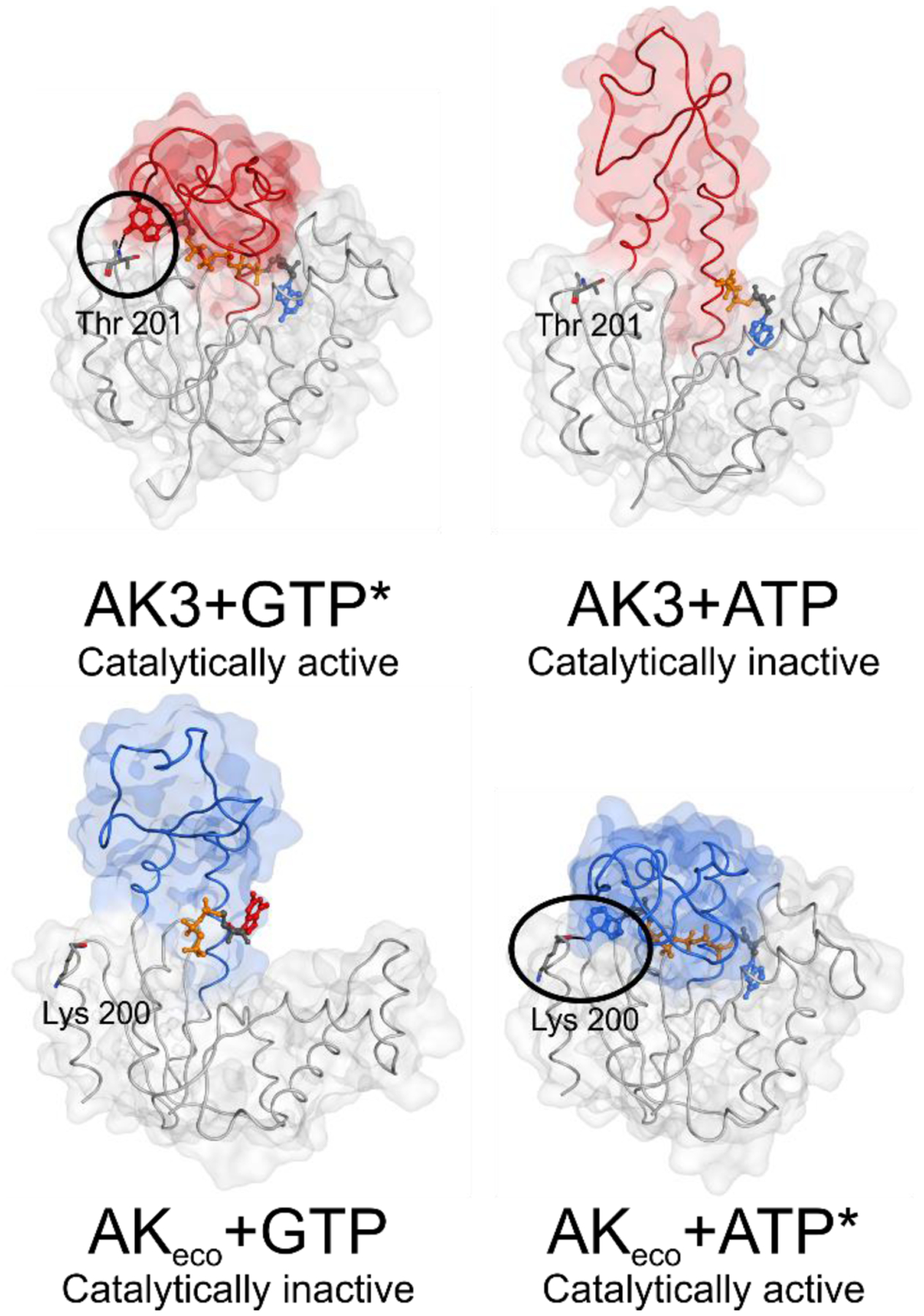 Figure 11.