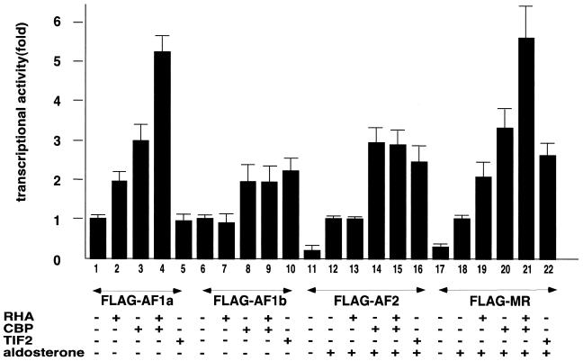 FIG. 5.