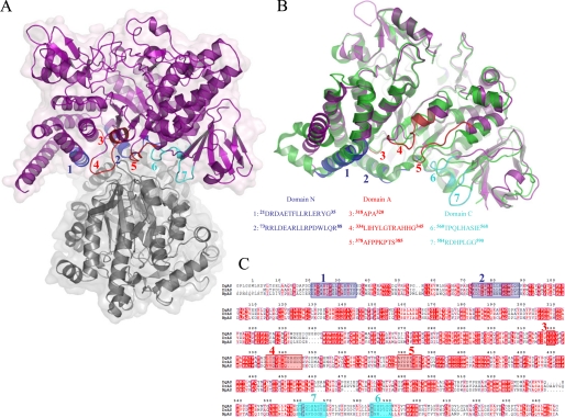 FIGURE 4.