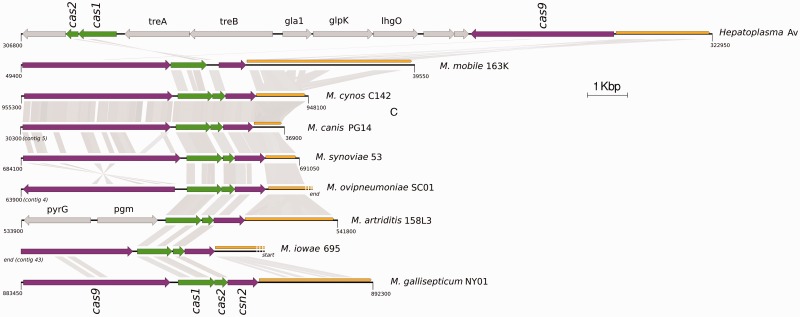 Fig. 3.—