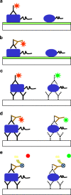 Fig. 1