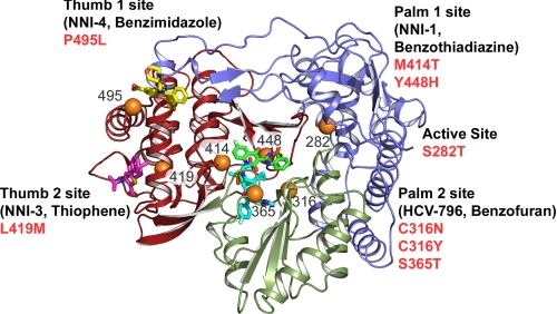 FIGURE 7.