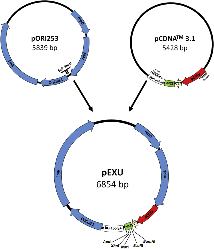 Figure 1