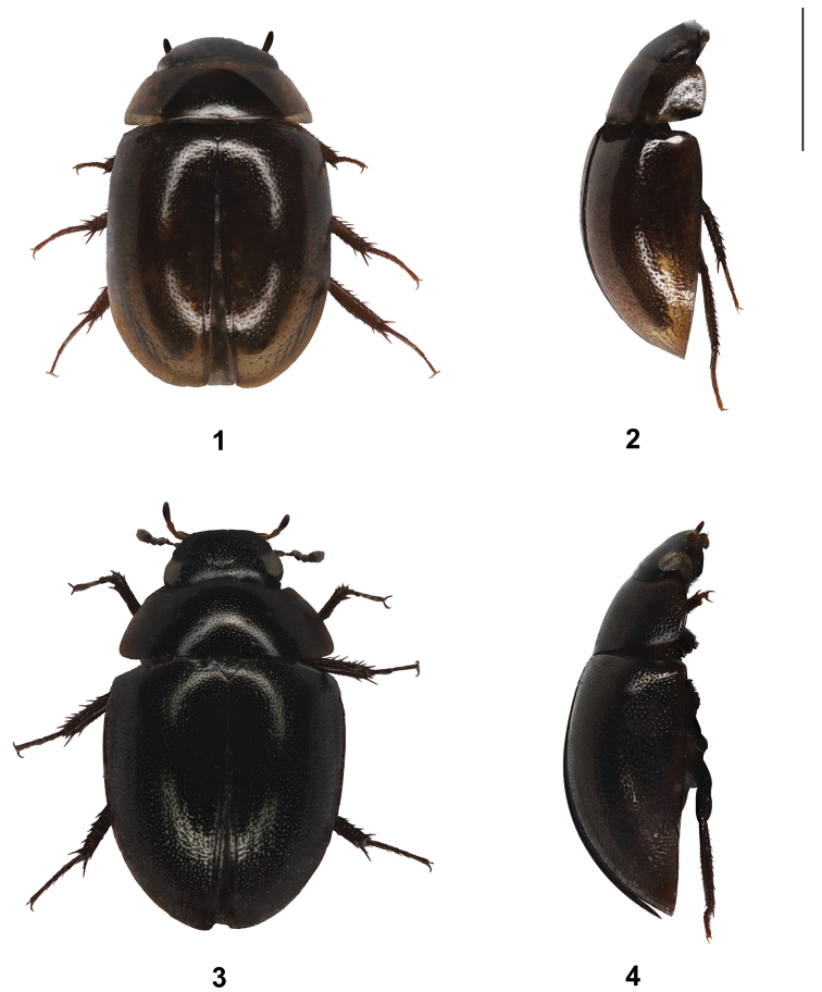 Figure 1–4.