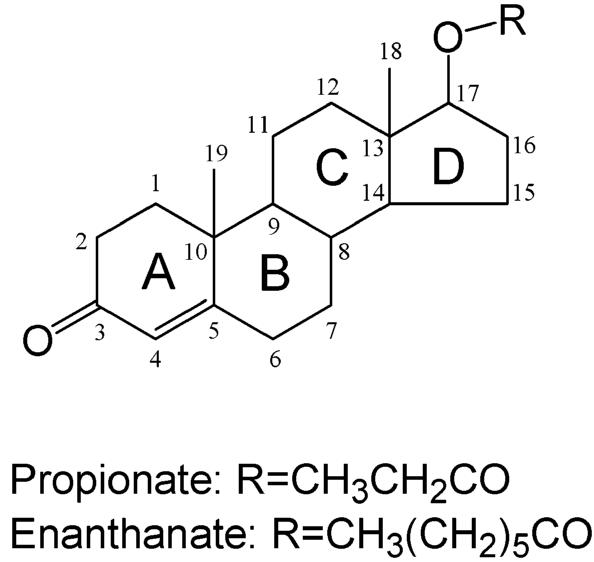 Figure 8