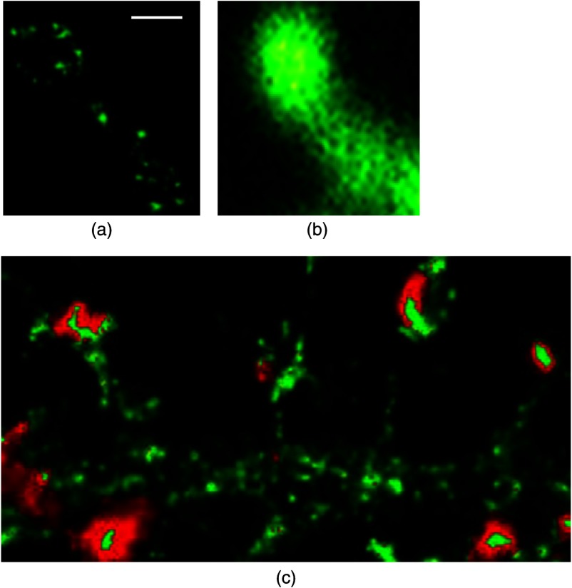 Fig. 3