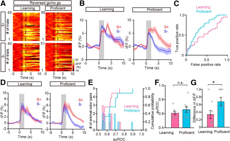 Figure 12.