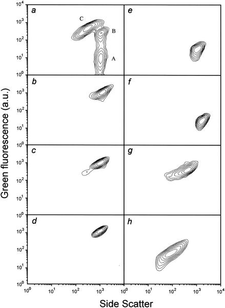 FIG. 4.