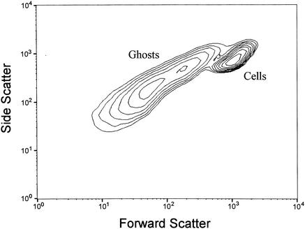 FIG. 1.