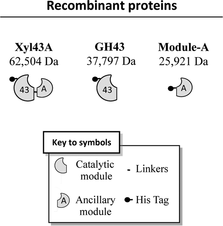 FIGURE 2.