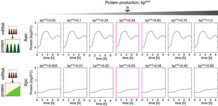 Figure EV3