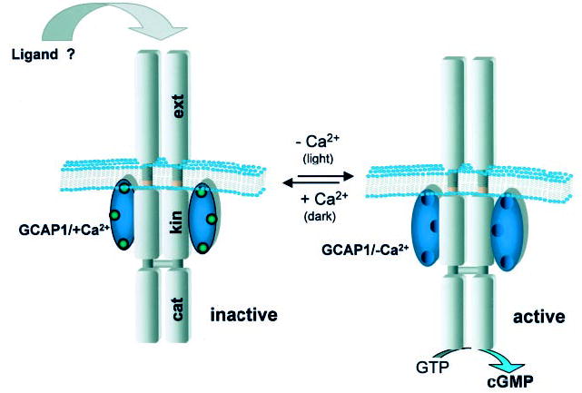 Fig. 11