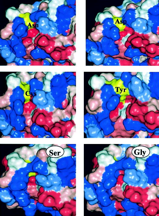 Fig. 10