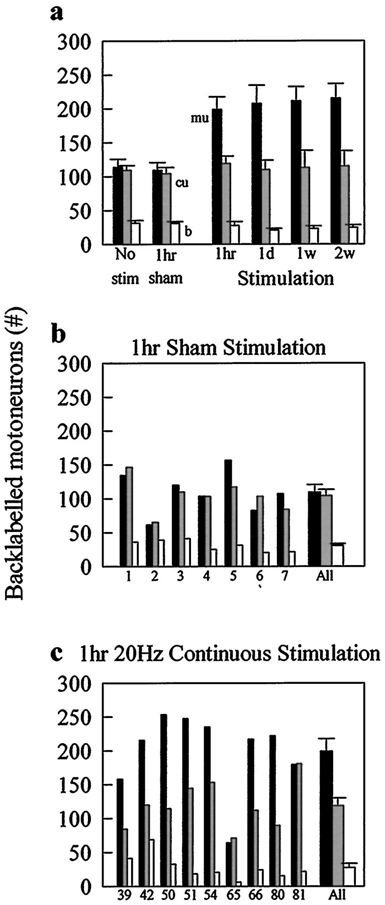 Fig. 5.