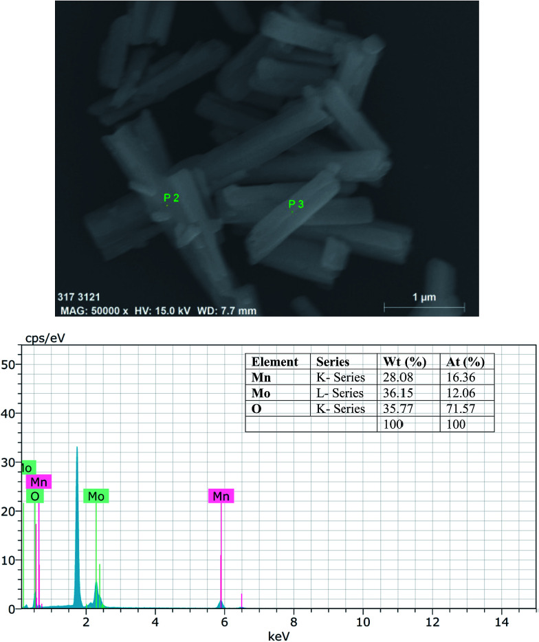 Fig. 5